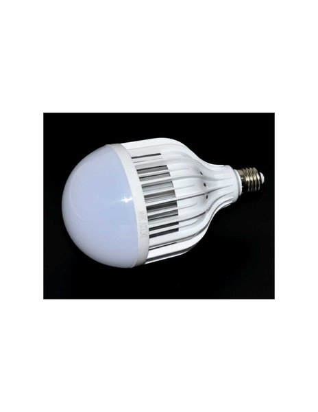 Bec cu Led , Alimentare 12V - 36W / E27